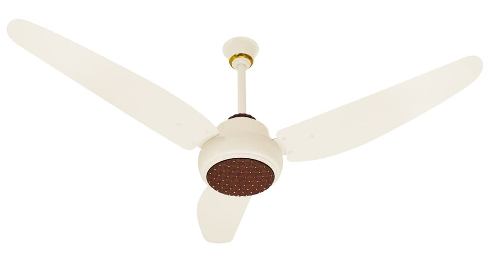 Sitara Pearl Ivory